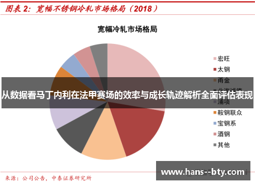从数据看马丁内利在法甲赛场的效率与成长轨迹解析全面评估表现